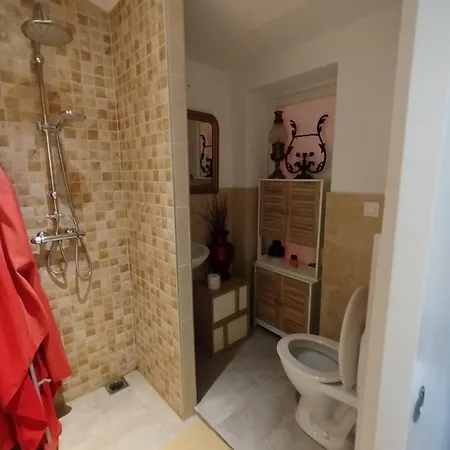 Bois Oleron Dom wakacyjny *