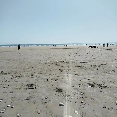 Bois Oleron * Dolus d'Oléron