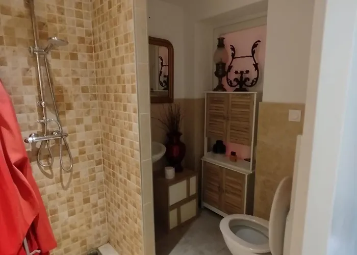 Bois Oleron بيت للعطل *