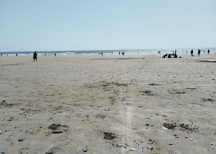 Bois Oleron * Dolus d'Oléron